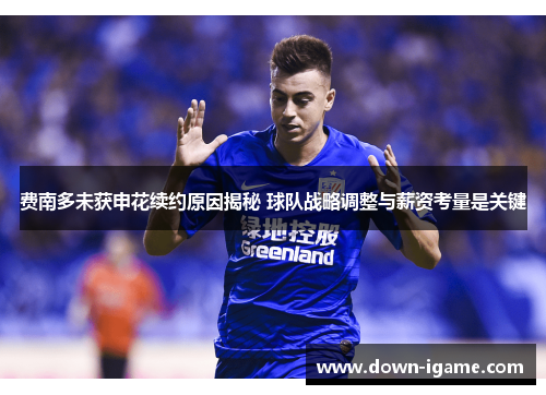 费南多未获申花续约原因揭秘 球队战略调整与薪资考量是关键